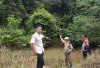 Geger Harimau Muncul di Mesuji 