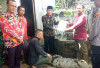 Hasil Evakuasi Hewan Buaya di Semaka Tanggamus Diserahkan ke BKSDA Bengkulu-Lampung