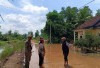 Sudah Lima Hari Banjir Rob Genangi Desa Panggung Rejo 