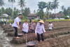Pemkab Tanggamus Gulirkan Program Gertak Mata Babe, Tanam Bawang dan Cabai di Pekarangan