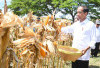 Tinjau Panen Jagung di Sumbawa, Jokowi Tekankan Pentingnya Keseimbangan Harga