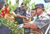 Panen Kopi di Lampung Barat, Gubernur Arinal Puji System Intercropping