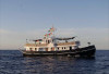 223 Aktivis Global Sumud Flotilla Ditangkap Militer Israel